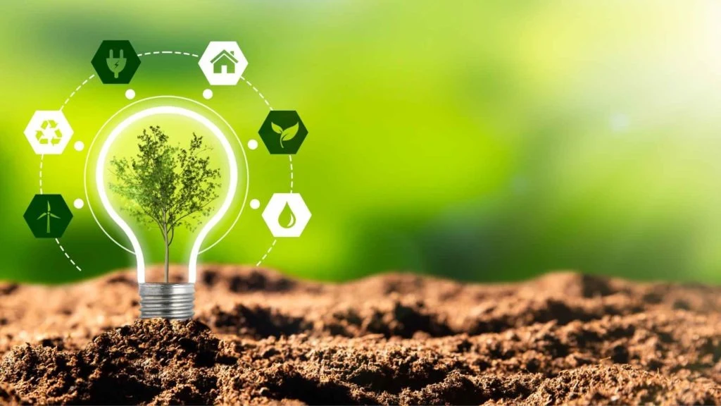 Prolog Fulfilment Achieves Carbon Neutral Status For Fifth Consecutive Year