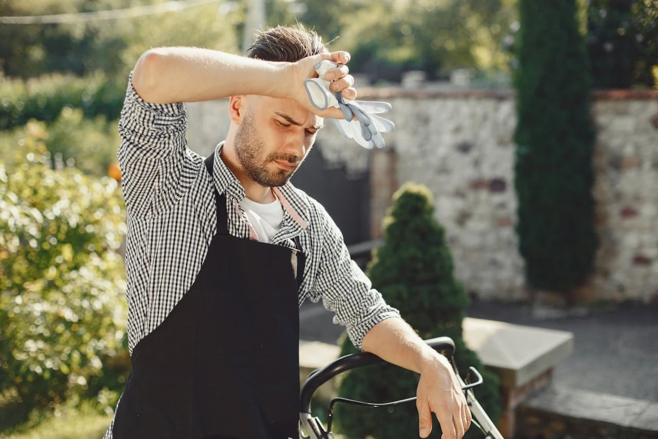 How to prepare your garden for a heatwave, according to an expert