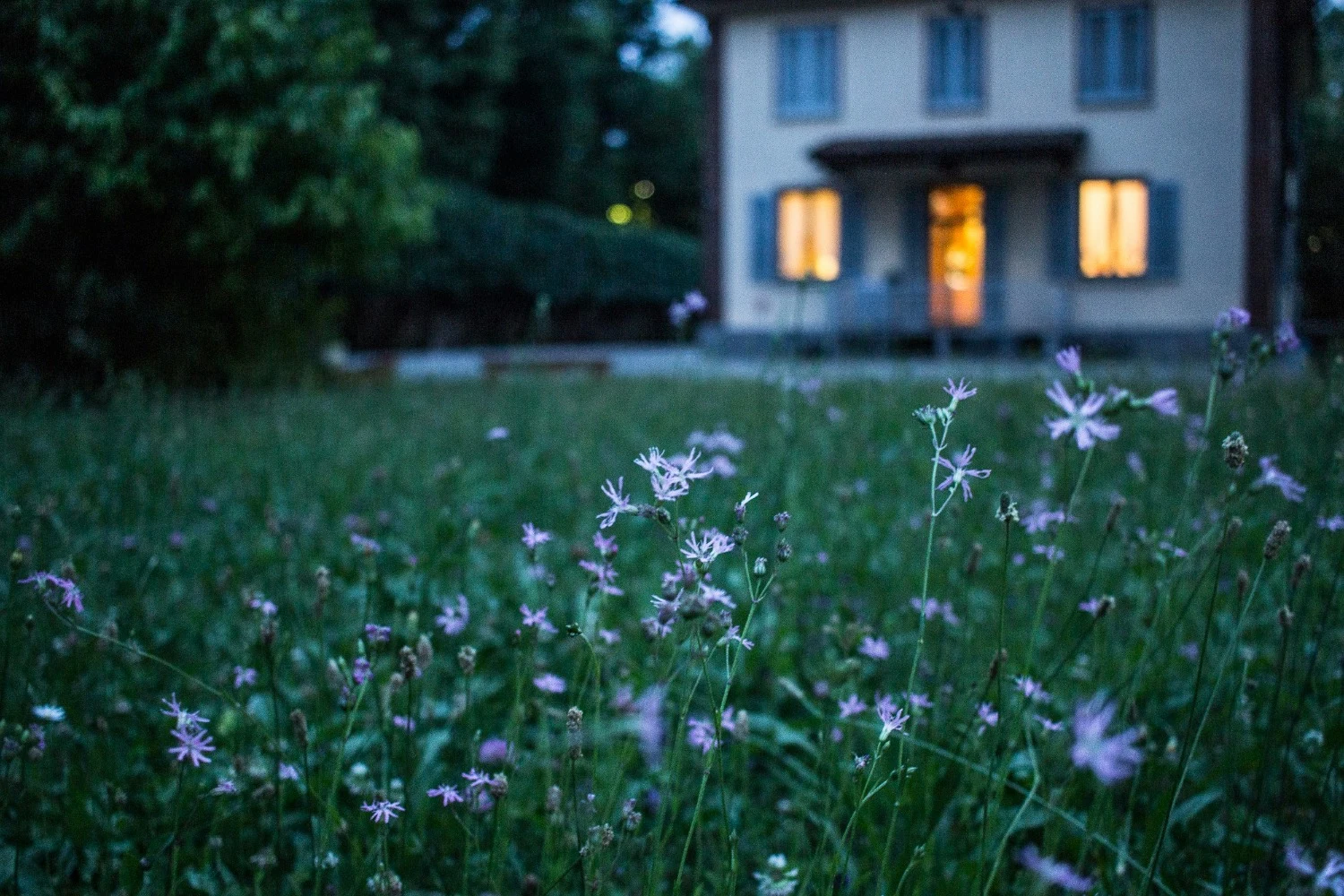 Garden Security Checks and Upgrades Every Homeowner Should Make Before the Clocks Go Back