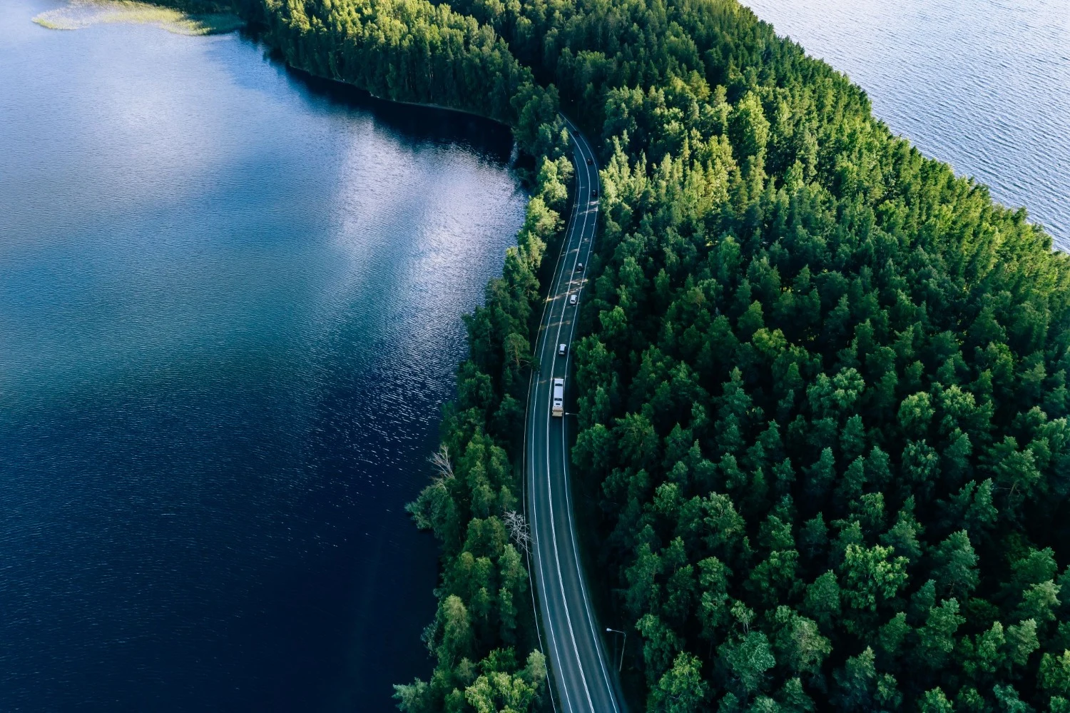 New Report Sets Benchmark for Biodiversity Accountability in Pharmaceutical Supply Chains