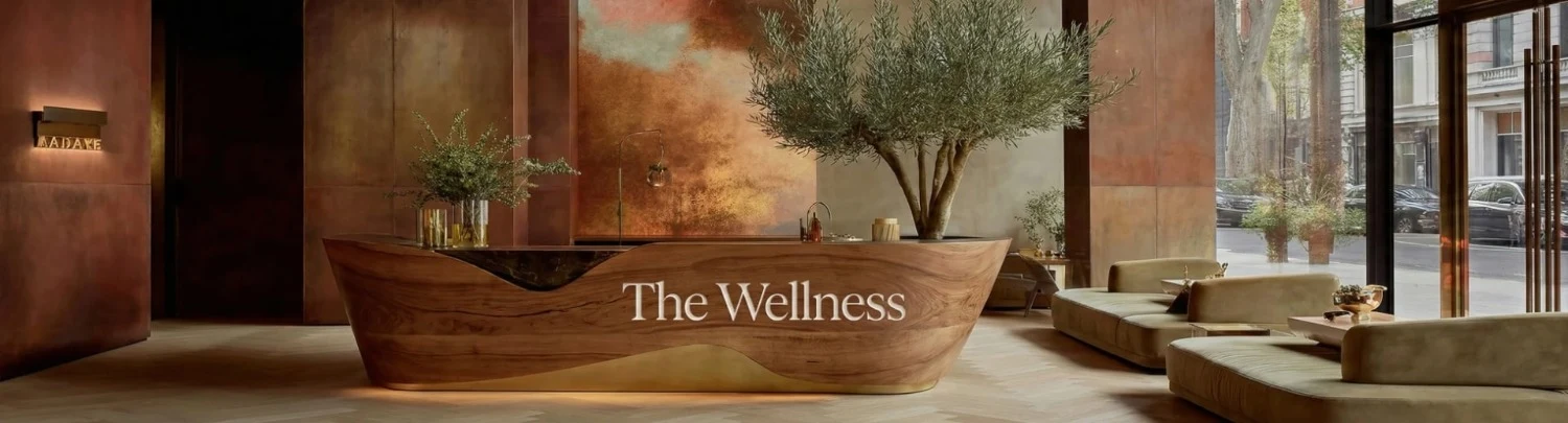 The Wellness launches Crowdcube raise to scale UK AI doctor and prevention-first clinic