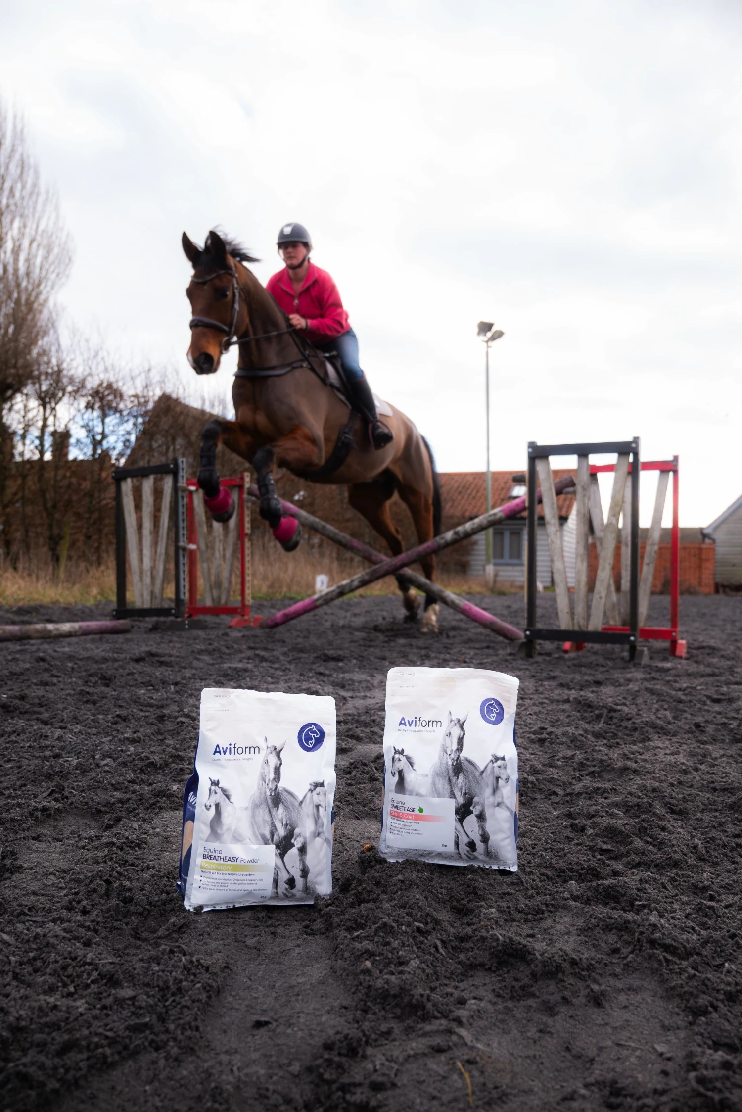 Horse Owners Report Life-Changing Results