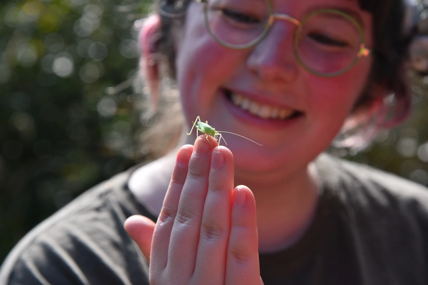 Young Darwin Scholarship opens for applications