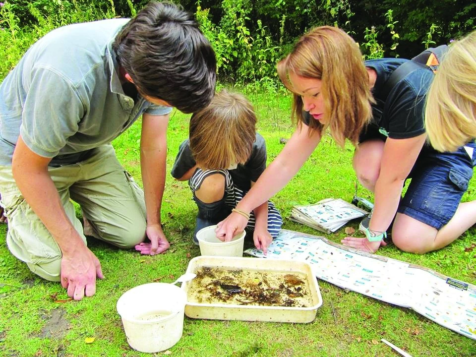 Leading charity puts on family open day at Shropshire centre