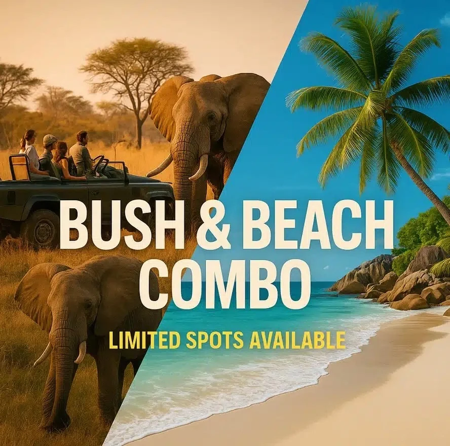 Voyage2Africa Leads the Charge in Bush & Beach Vacations - Africa’s Fastest-Growing Travel Trend