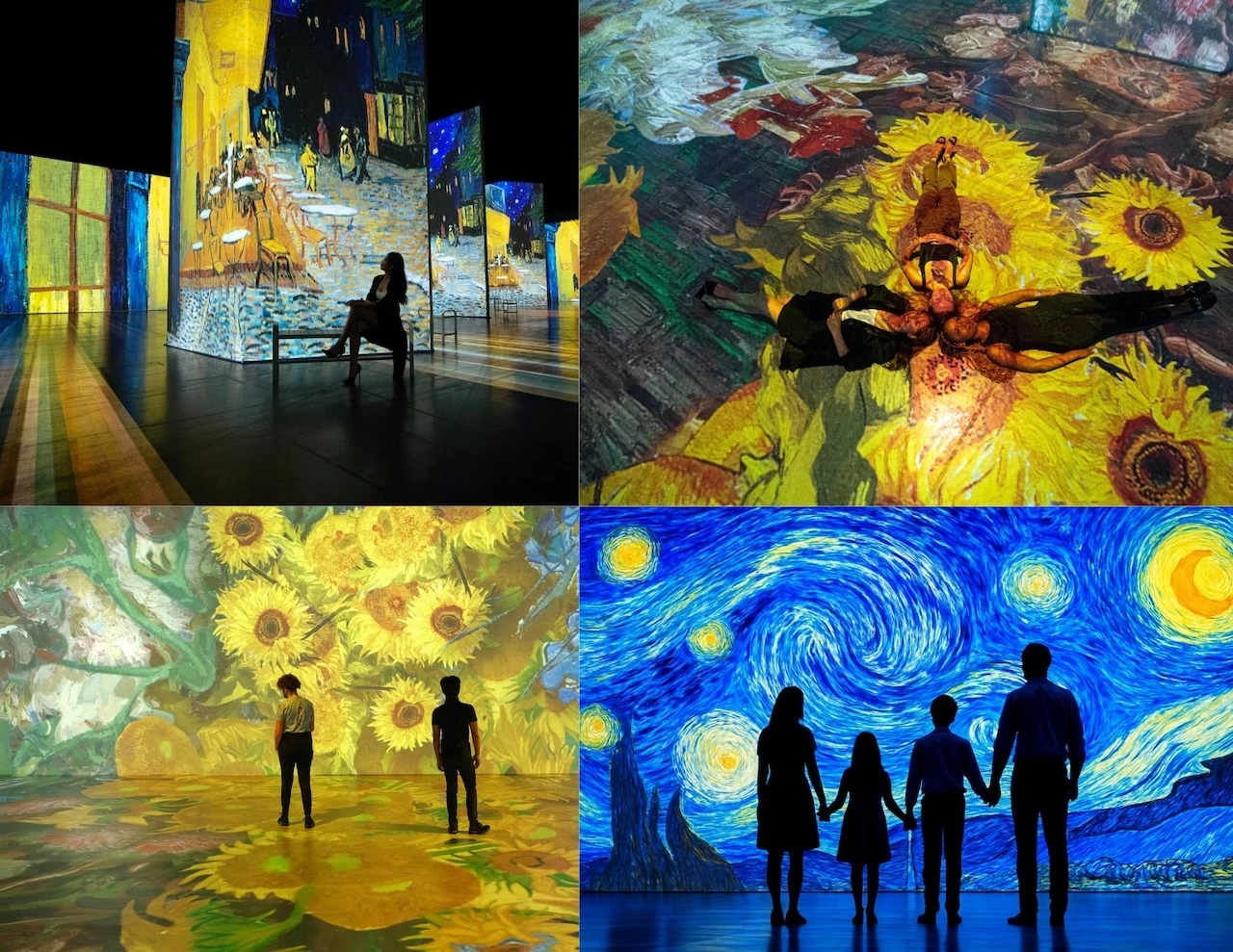 Masterpiece on the Tyne: Newcastle Welcomes Virtuoso Van Gogh