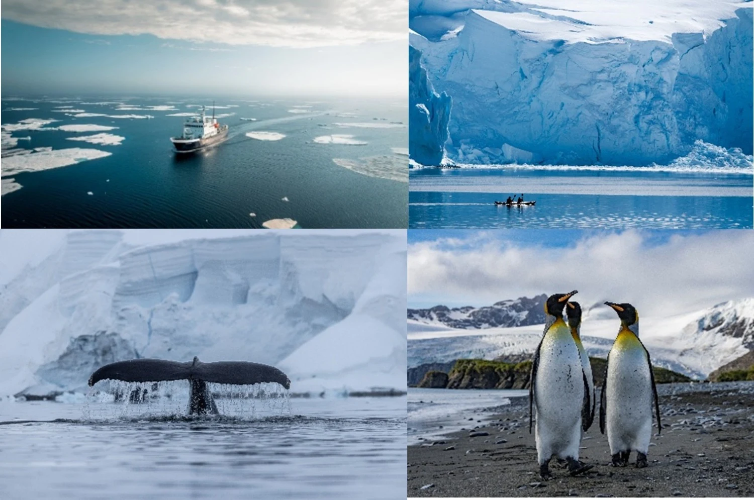 Secret Atlas Revolutionises Small-Group Polar Exploration Launching Expedition Micro Cruises to Antarctica and South Georgia from October 2026