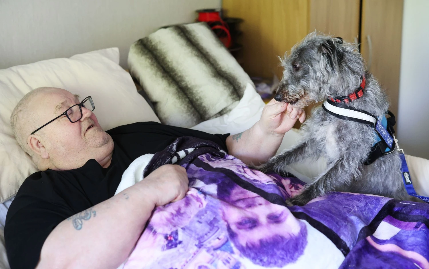 Four-legged therapist Negan joins care home staff to bring comfort to residents with complex needs